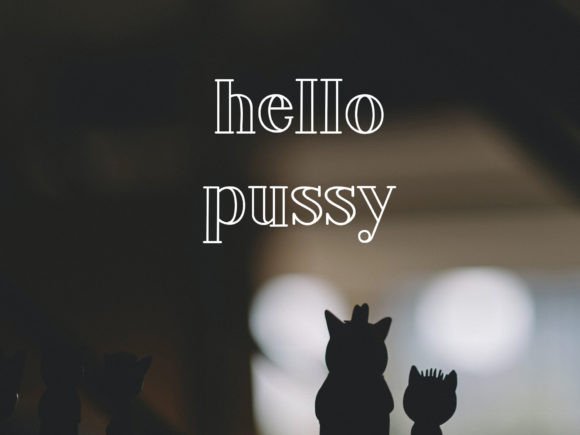 Hachi Font: Free Download & Design Tips